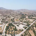 Niriana * غينادي